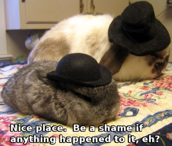 Rabbits wearing fedoras, saying 'Nice place. Be a shame if anything happened to it.'