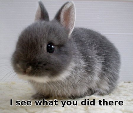 bunny saying 'I see what you did there'
