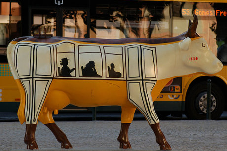 the bus is having a cow