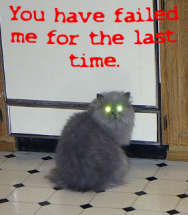 Cat, saying 'You have failed me for the last time' 