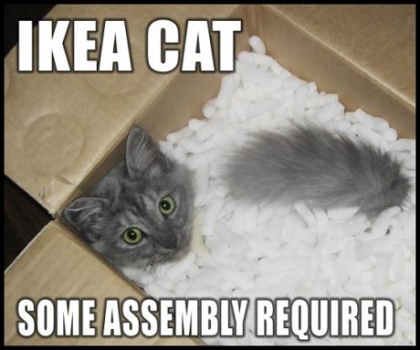 cat saying 'IKEA cat: some assembly required' 