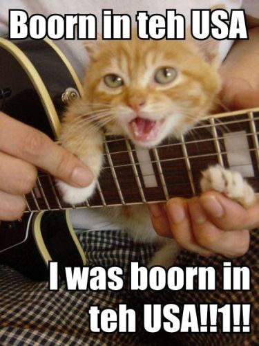 kitty is Born In The USA