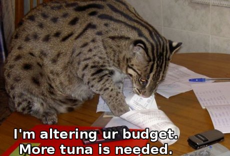 Malaysian fishing cat, with a receipt, caption 'Im altering ur budget' 