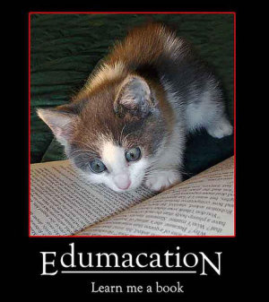 cat, staring intently at a book, caption 'edumacation: learn me a book' 