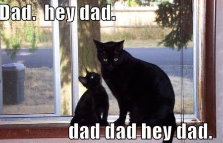 Dad.  Hey dad.  Dad dad hey dad.