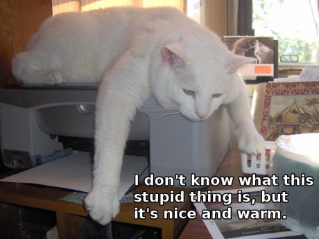 I don't know what this stupid thing is, but it's nice and warm