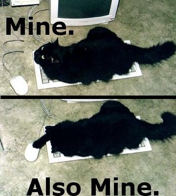 cat with keyboard and mouse, saying 'mine' and 'also mine'