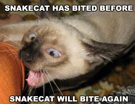 snakecat has bited before, snakecat will bite again