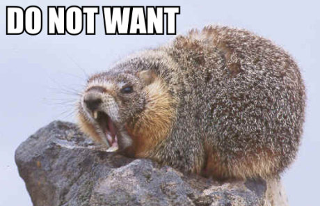 angry beaver, caption 'do not want' 