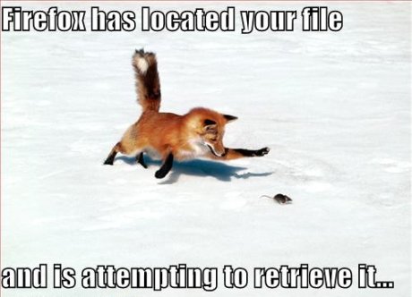 firefox has located your file and is attempting to retrieve it