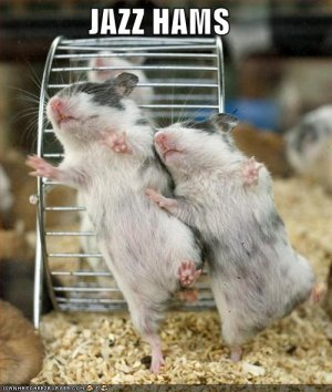hamsters dancing, caption 'Jazz Hams'