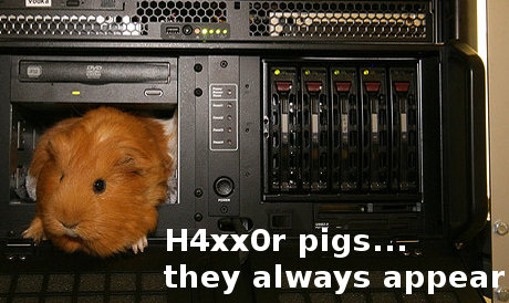 pigs are haxoring this website