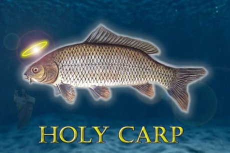 Holy Carp