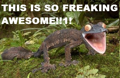 lizard saying 'this is so freaking awesome' 