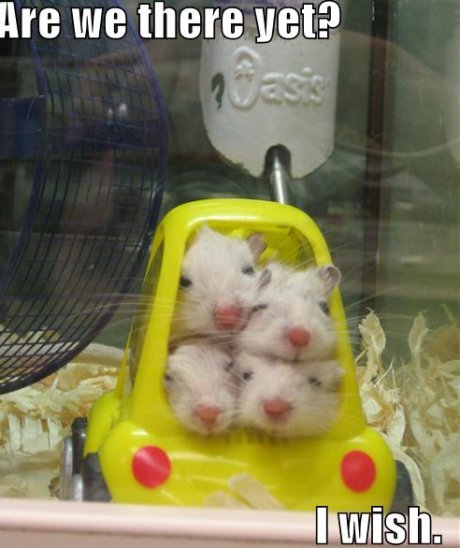 mice: are we there yet?  I wish.