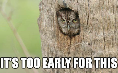 owl saying 'it's too early for this' 