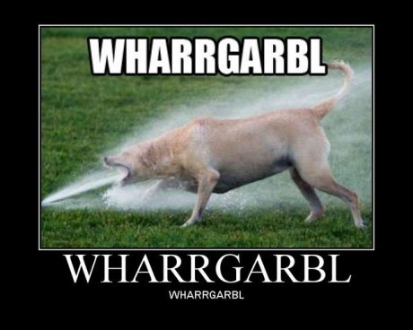 dog drinking out of sprinkler, caption 'wharrgarbl' 