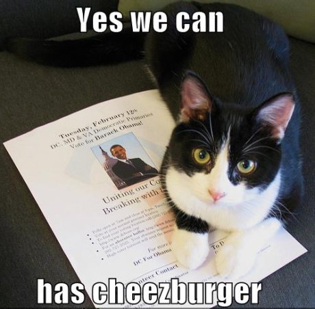 cat on Obama poster, caption 'yes we can has cheezburger' 