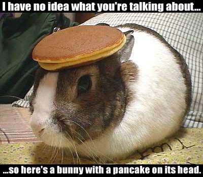I have no idea what you're talking about, so here's a bunny with a pancake on its head