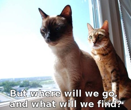 But where will we go, and what will we find?