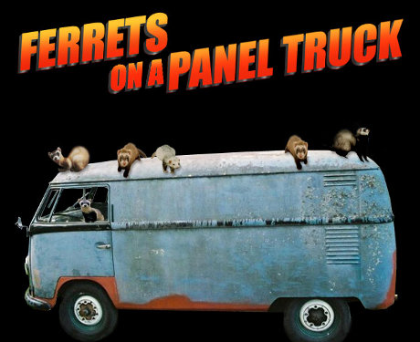 yep, we've got PURE EVIL on this truck... ferrets on a panel truck