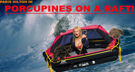 porcupines are actually pretty stupid, and not that dangerous Porcupines on a Raft