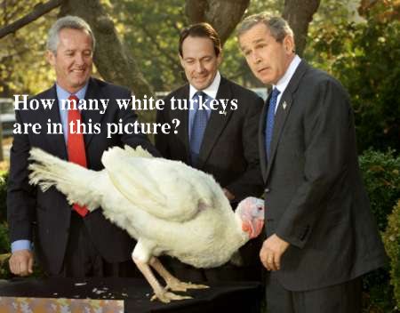 too many, for sure George W. Bush with turkey, caption 'How many white turkeys are in this picture?'