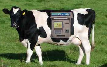 Modern Audhumla dispenses cash, not milk cash cow