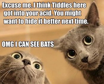 we can't stop here! OMG I CAN SEE BATS!