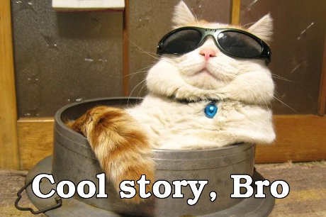 Wait. What? cat saying 'Cool story, Bro'