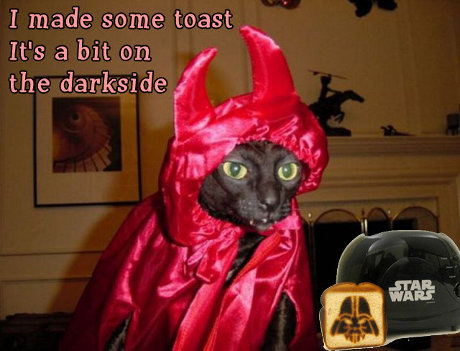 I'm altering the toast. Pray I do not alter it any further. cat saying 'I made some toast, it's a bit on the darkside'