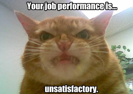 teh computers cannae take much more 'o this, cap'n! cat grimacing and saying 'Your job performance is unsatisfactory'