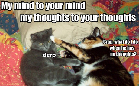 ZEK on a triple word? my mind to your mind, your thoughts to your thoughts... crap, what do I do when he has no thoughts?