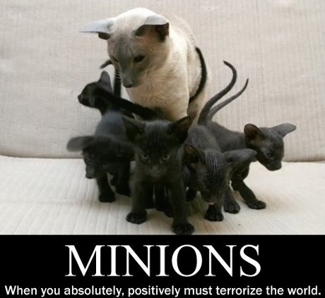 we're here to pillage your village! Minions: when you absolutely, positively must terrorize the world