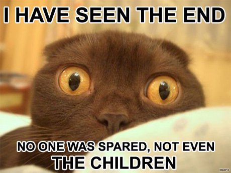 OH NOES! PANIC! cat saying 'I have seen the end! No one was spared, not even the children!'