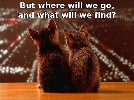 I don't know. Let's find out! cats looking out over a city with the caption 'But where will we go, and what will we find?'
