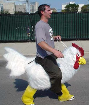 Chickens don't bounce. They *splat*. a silly image related to chickens