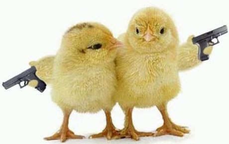 no guns, just statements of deliverables chicks with guns