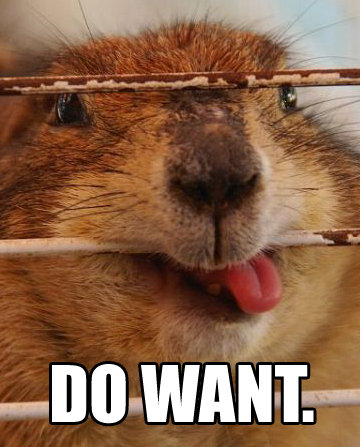 yeah, that's what I want groundhog saying 'DO WANT'
