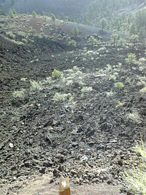 we'll walk in fields of lava... lava field at Sunset Crater in Flagstaff