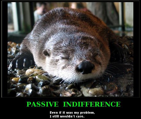 watch me NOT CARE! Passive indifference: Even if it was my problem, I still wouldn't care