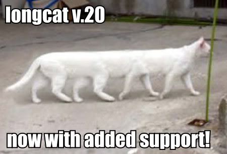 wonder what TACGNOL would look like? longcat 2.0, now with added support