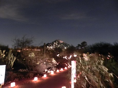 UFO? Cactus? Did I have too much tequila? blurry photo of the lights on the mountainside at Luminarias