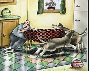 AAAAH! WOLVES! luposlipophobia: fear of being pursued by wolves around a kitchen table on a freshly waxed floor