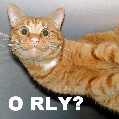 YA RLY. cat saying 'O RLY?'