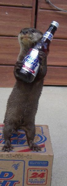 this has GOT to be a shop. I can tell by the pixels. otter holding a Bud Light