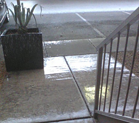 Would Monsieur care for a little rain? a small amount of rain in Tempe
