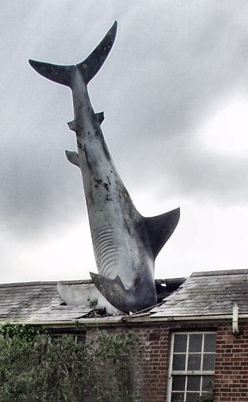 sharks on a roof, eh? sculpture of a shark on a roof in Oxford
