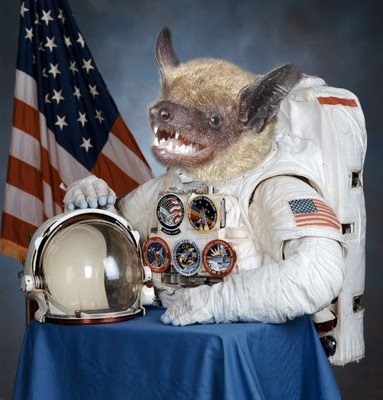 sorry, that was a typo, we want astronauts with all their BITS astronaut with the head of a bat