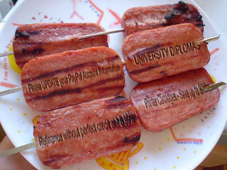but I DON'T LIKE SPAM!!1! spam spam